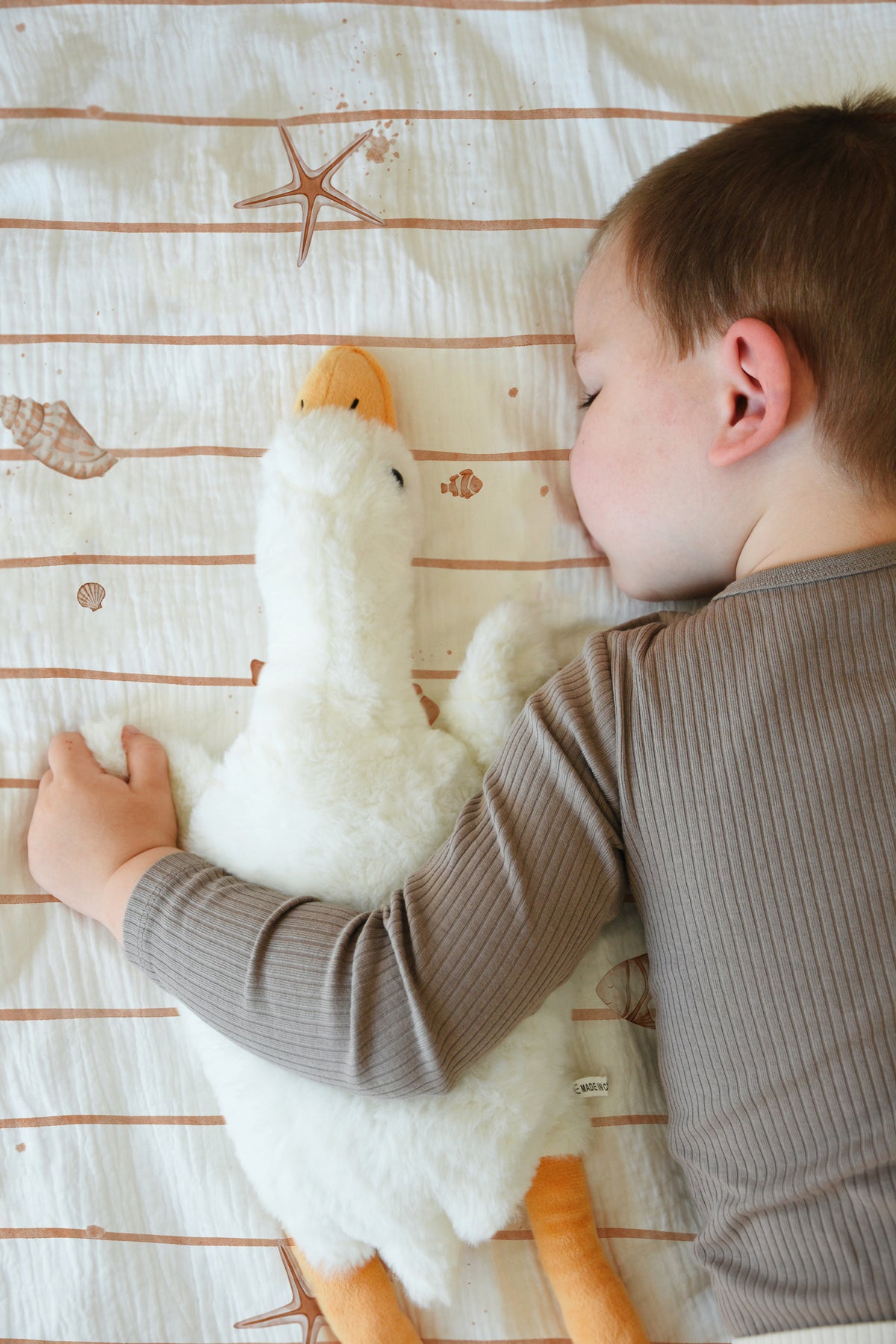 « Petites étoiles de mer » – Linge de lit haut de gamme pour enfants